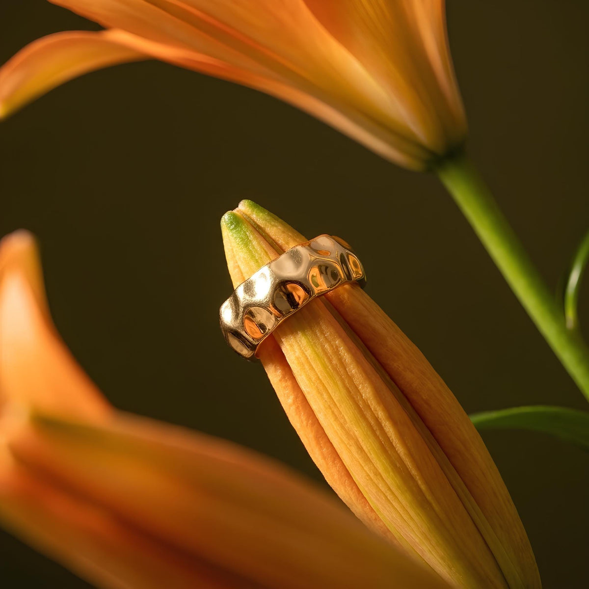 14K / 18K Solid Gold Hammered Dome Ring