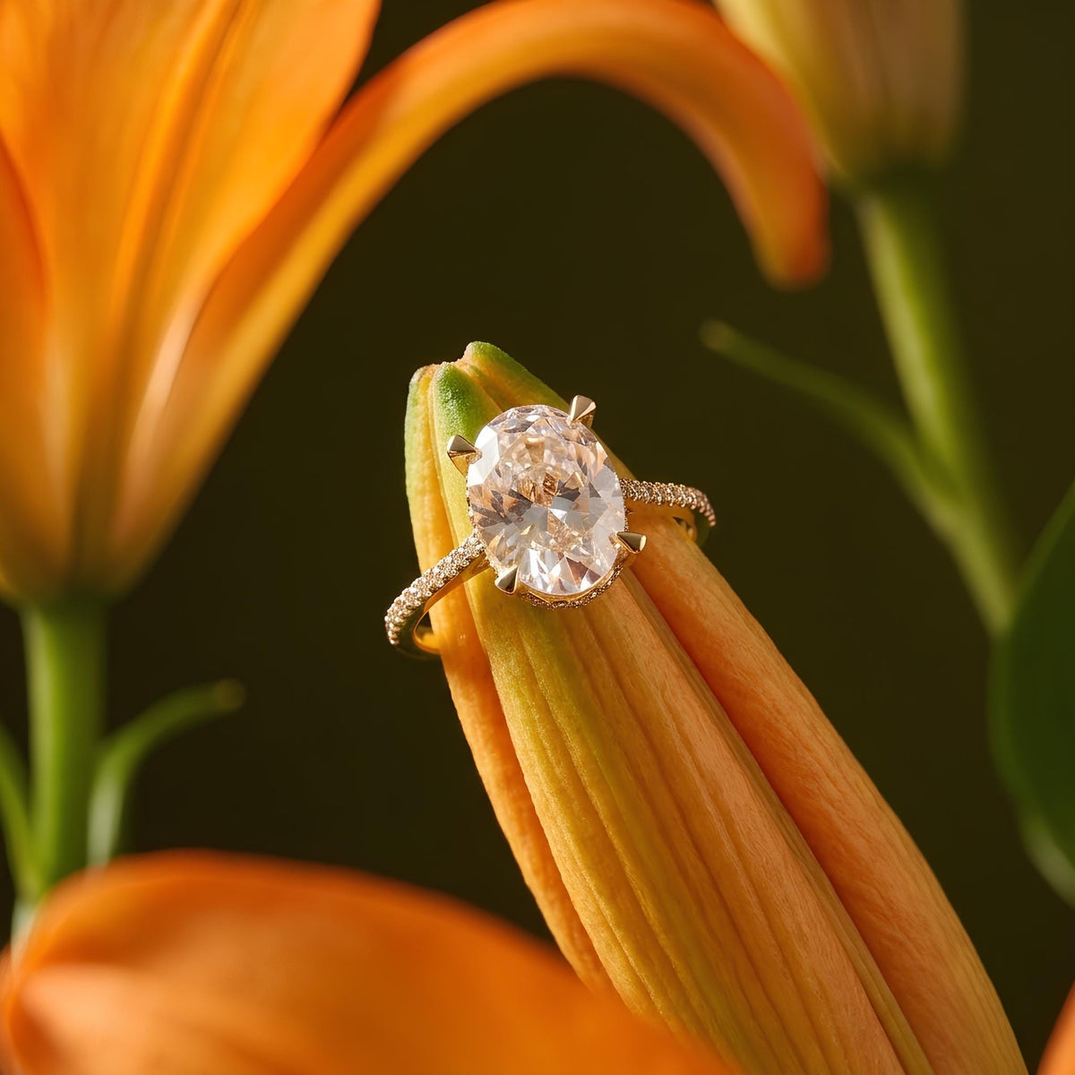 14K / 18K Solid Gold Oval Zircon Ring